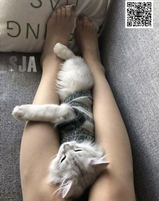 你好检察官42集免费观看_高清完整版免费在线观看